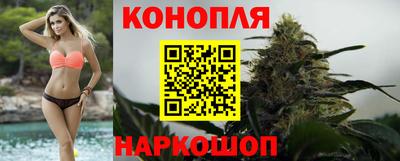 гидра Славгород