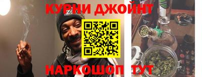 гидра Славгород