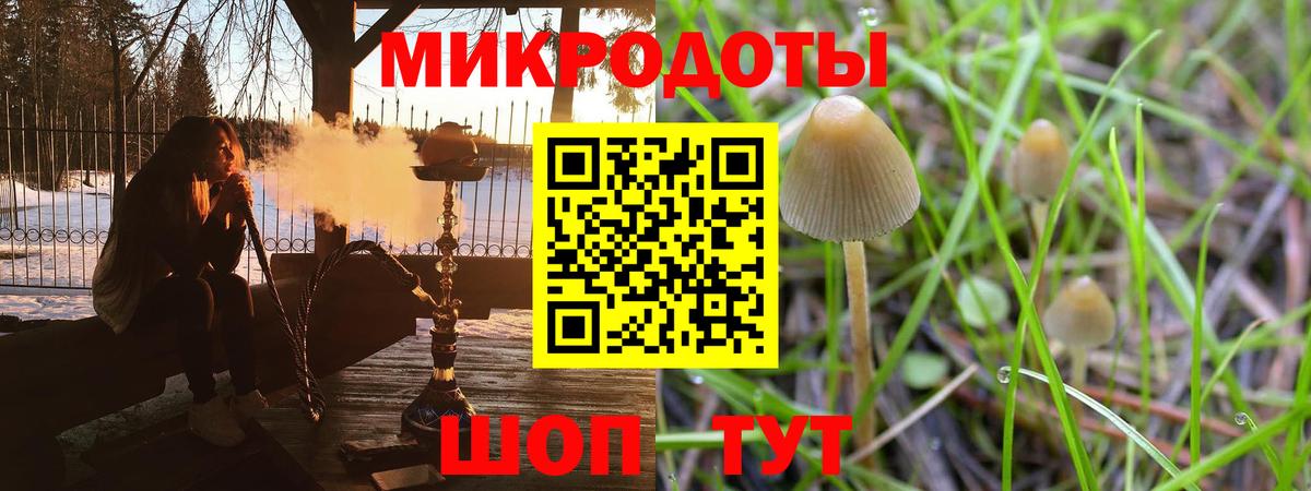 Мытищи  Галлюциногенные грибы мицелий  Псилоцибиновые грибы MAGIC MUSHROOMS  купить наркотики сайты  Вход с VPN 